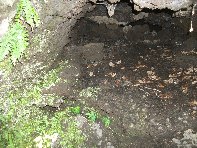 otte Scorciavacca20110306 077